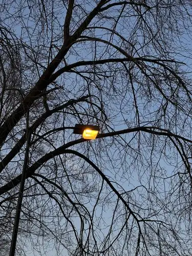 Warm glow in a cool twilight.